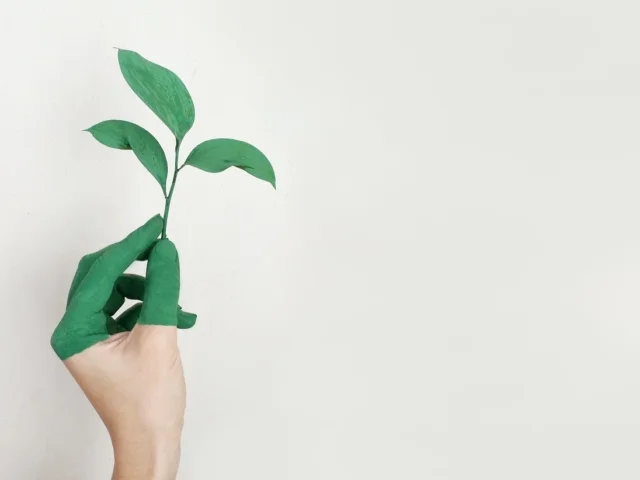 Eco friendly hand with leaf